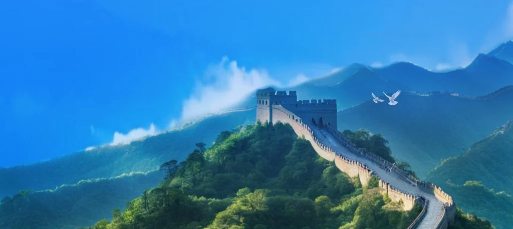 个人所得税与国家税务总局电子税务局文字意见办税实景图